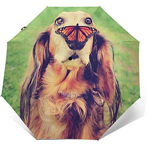 Ombrello pieghevole pieghevole per cani Design impermeabile-Protezione solare-Auto Open&Close (colla nera)