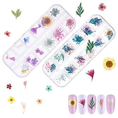 Opopark 4 Cajas Decoración de Uñas Flores,Juego de Flores Secas Reales para Decoración de Uñas Kits de Accesorios para 3D Decoración de Uñas