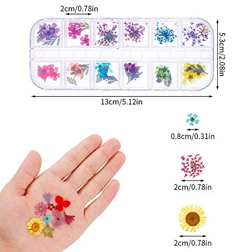 Opopark 4 Cajas Decoración de Uñas Flores,Juego de Flores Secas Reales para Decoración de Uñas Kits de Accesorios para 3D Decoración de Uñas