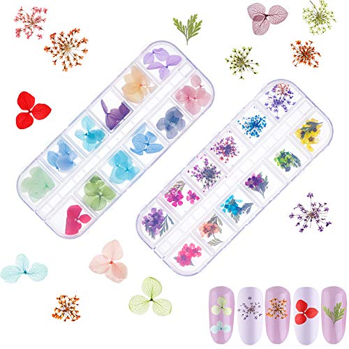 Opopark 4 Cajas Decoración de Uñas Flores,Juego de Flores Secas Reales para Decoración de Uñas Kits de Accesorios para 3D Decoración de Uñas