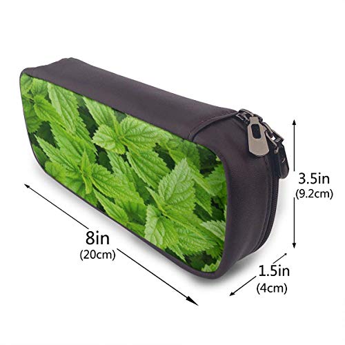 Organizador de bolsas Estuche para lápices de gran capacidad, único estuche para bolígrafos de ortigas frescas verdes Papelería duradera para estudiantes s