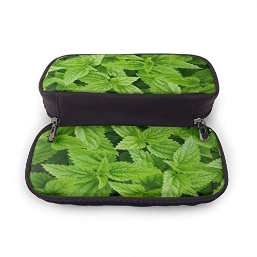 Organizador de bolsas Estuche para lápices de gran capacidad, único estuche para bolígrafos de ortigas frescas verdes Papelería duradera para estudiantes s