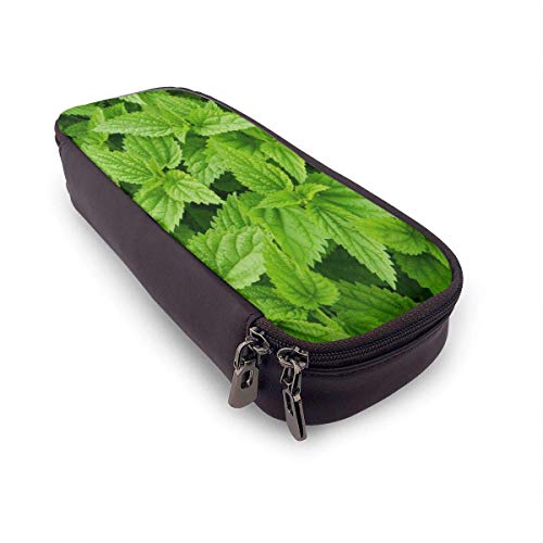 Organizador de bolsas Estuche para lápices de gran capacidad, único estuche para bolígrafos de ortigas frescas verdes Papelería duradera para estudiantes s