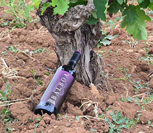 Pack 6 botellas BODEGAS TIARA Vino Tinto Balboa Selección Tinto Tempranillo