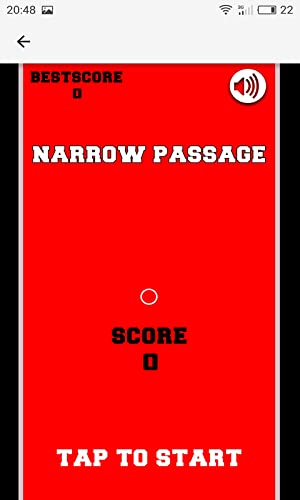 Palencia Narrow Passage Game