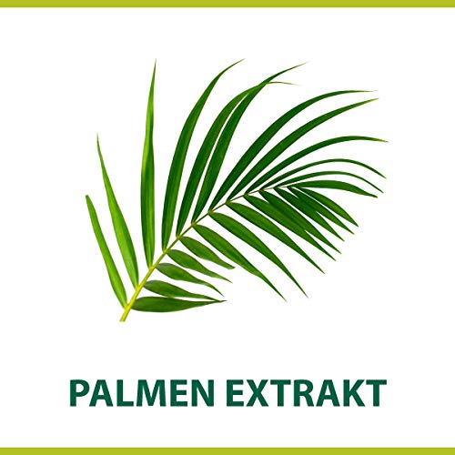 Palm olivo Crema de Afeitar Classic, 100 ml