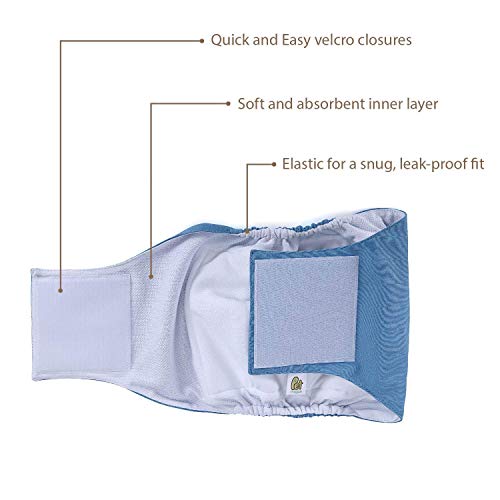 Pañales para Perro Cubre Panza Lavables [Juego de 3 Piezas] Pañales Reutilizables y amigables con el Medio Ambiente (SOLID, M)