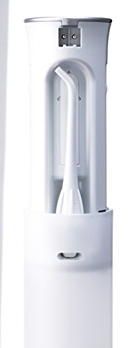 Panasonic EW-DJ40-W503 Irrigador Bucal Eléctrico Portátil de Viaje y Plegable (2 Modos, Recargable, Inalámbrico, Óptimo para Aparatos Dentales, 1500 Impulsos/Min, Ligero)- Color Plata/Blanco