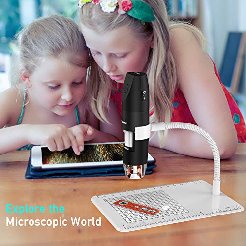 Pancellent Microscopio Digital Inalámbrico, Microscopio De Aumento USB 1080P 50X a 1000X con 8 LED, Colección De Diapositivas De 12 Paquetes
