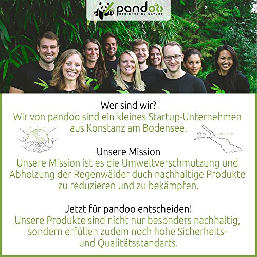 Pandoo 4 hisopos de algodón de bambú para bebés - 100% biodegradable, vegano y sostenible - Hisopos de algodón de alta calidad compostables