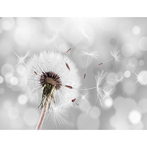 Papel Pintado Fotográfico Diente de león 352 x 250 cm Tipo Fleece no-trenzado Salón Dormitorio Despacho Pasillo Decoración murales decoración de paredes moderna - 100% FABRICADO EN ALEMANIA - 9155011a
