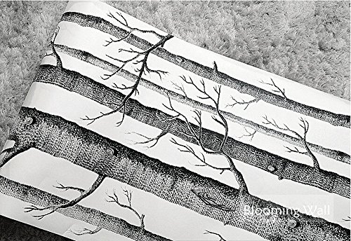 Papel Pintado Pared Abedul 3D 1000CM * 53CM - Diseño Retro Adecuado para Cocina Dormitorio Sala de Estar Pared de Fondo de TV Chico Chica (Abedul Papel Pintado)