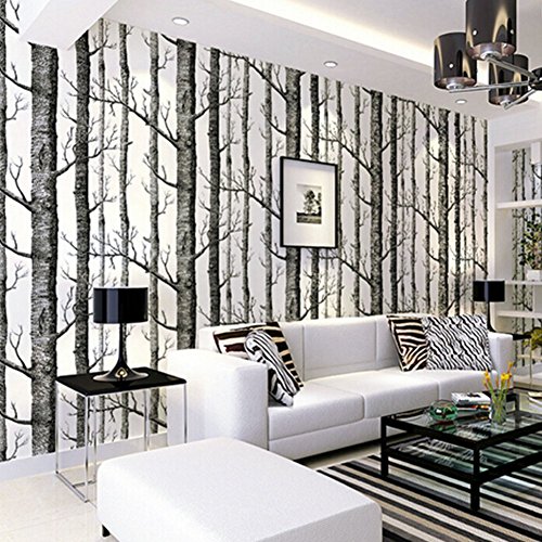 Papel Pintado Pared Abedul 3D 1000CM * 53CM - Diseño Retro Adecuado para Cocina Dormitorio Sala de Estar Pared de Fondo de TV Chico Chica (Abedul Papel Pintado)