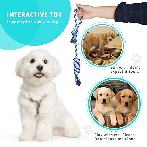 Pecute Juguetes de Cuerda para Perros 4 Piezas de Algodón Cuerda Duradera Dientes Cuidado para Pequeñas y Medianas Perros