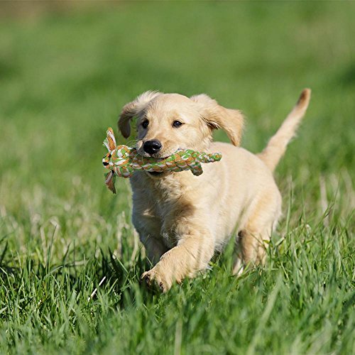 Pecute Juguetes de Cuerda para Perros 4 Piezas de Algodón Cuerda Duradera Dientes Cuidado para Pequeñas y Medianas Perros