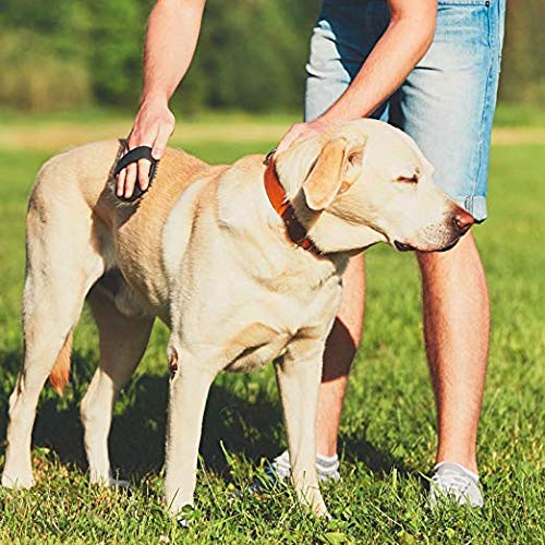 Peine de peinar redondo WhopperIndia | Químico antiestático clásico y resistente al calor para todo tipo de cabello | Peine de dientes finos y anchos para hombres y mujeres, paquete de 4, 4"