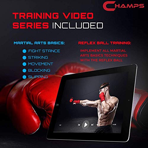 Pelota para Entrenamiento de Reflejos Champs – Equipo Boxeo MMA Velocidad de Lucha, Velocidad de Reacción, Coordinación de Ojos y Manos Entrenamiento Alternativo de Reflejos (Pro)