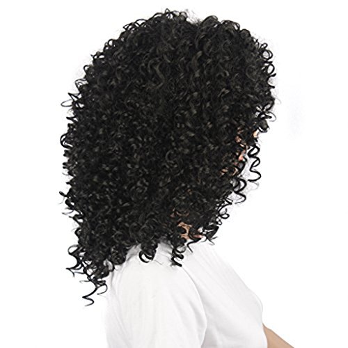 Pelucas sintéticas del pelo rizado afro para la mujer negra Peluca rizada corta del calor del pelo negro fría