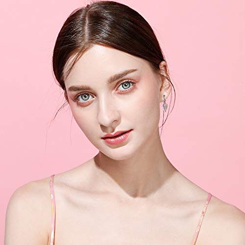 Pendientes Mujer Chica Niña Yumilok- Moda Pendientes Plata de Ley 925 Estilo de Alas con Circonitas