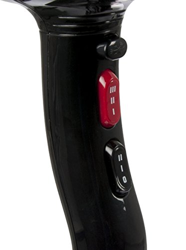 Perfect Beauty Pluma 2000W - Secador profesional ligero, color negro