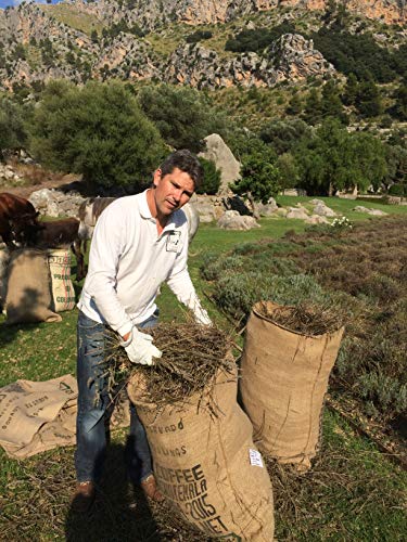 Perfume ecológico de lavanda de Mallorca