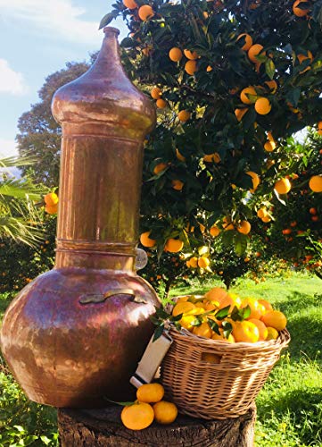 Perfume ecológico de naranja de Mallorca