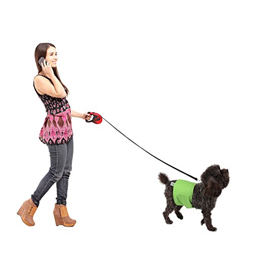 PET MAGASIN Pañales para Perro Cubre Panza Lavables [Juego de 3 Piezas] Pañales Reutilizables y amigables con el Medio Ambiente (Solid, S)