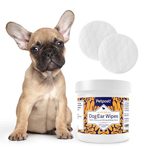 Petpost | Toallitas Limpiadoras de Oídos para Perros – 100 Almohadillas de Algodón Ultra Suave en Solución de Aceite de Coco – El Mejor Remedio para Garrapatas de Oído de Perro e Infecciones Auditivas
