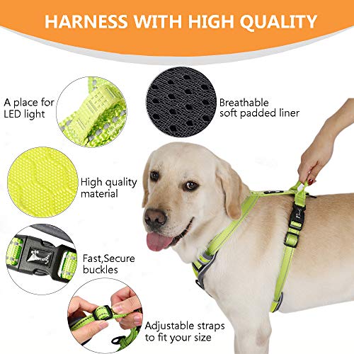 PETTOM Arnés para Perros Caminar, Arnés Pecho Antitirones Ajustable,Arnés Reflectante para Exteriores de 3M Sin tirón para Acampar Senderismo Visibilidad Nocturna