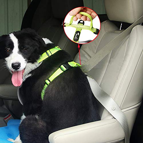 PETTOM Arnés para Perros Caminar, Arnés Pecho Antitirones Ajustable,Arnés Reflectante para Exteriores de 3M Sin tirón para Acampar Senderismo Visibilidad Nocturna