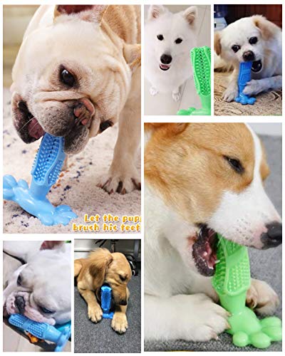 PETTOM Cepillo de Dientes para Perros Juguete para Masticar Masticable para Perros M-Size Caucho Natural Cuidado Dental para Perros Limpieza de Dientes de Perro (Fit: 10-40pounds Azul)