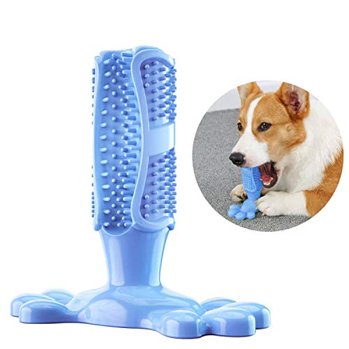 PETTOM Cepillo de Dientes para Perros Juguete para Masticar Masticable para Perros M-Size Caucho Natural Cuidado Dental para Perros Limpieza de Dientes de Perro (Fit: 10-40pounds Azul)