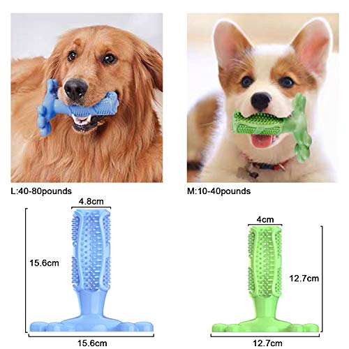 PETTOM Cepillo de Dientes para Perros Juguete para Masticar Masticable para Perros M-Size Caucho Natural Cuidado Dental para Perros Limpieza de Dientes de Perro (Fit: 10-40pounds Azul)