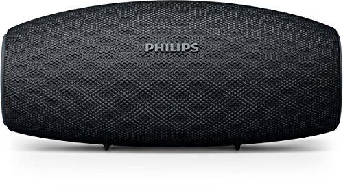 Philips Everplay BT6900B - Altavoz Bluetooth (Potente y portátil de pie, Resistente al Agua, con micrófono, Correa USB) Color Negro