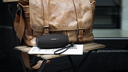 Philips Everplay BT6900B - Altavoz Bluetooth (Potente y portátil de pie, Resistente al Agua, con micrófono, Correa USB) Color Negro