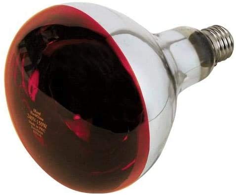 Philips InfraRed Industrial Lámpara Reflectora Incandescente de Infrarrojo, Rojo, 150 W