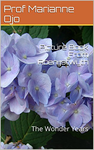 Picture Book From Aberystwyth: The Wonder Years (1) (English Edition)