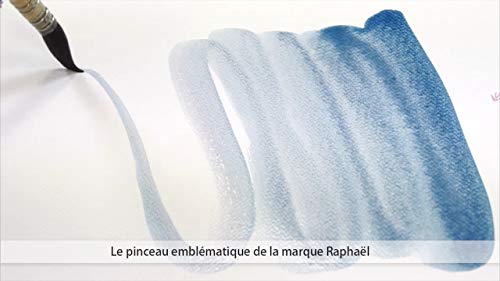 Pinceau Lavis aquarelle Petit Gris Pur Monte Sur Plume No.2 by Raphael