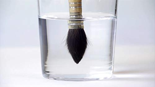 Pinceau Lavis aquarelle Petit Gris Pur Monte Sur Plume No.2 by Raphael