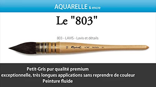 Pinceau Lavis aquarelle Petit Gris Pur Monte Sur Plume No.2 by Raphael