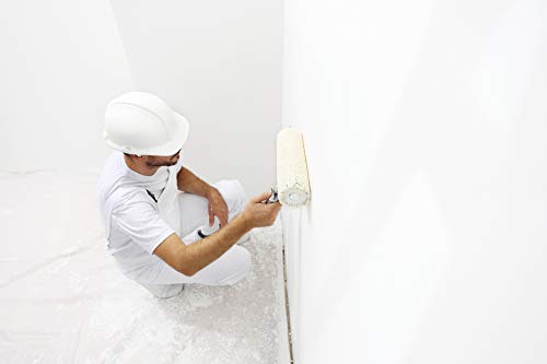 Pintura de látex de pared interior lavable sedoso brillante W556 Blanco - 5L