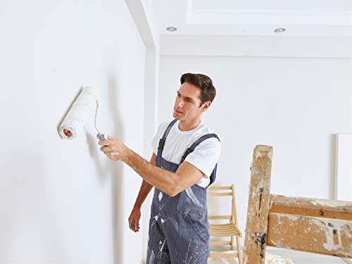 Pintura de látex de pared interior lavable sedoso brillante W556 Blanco - 5L