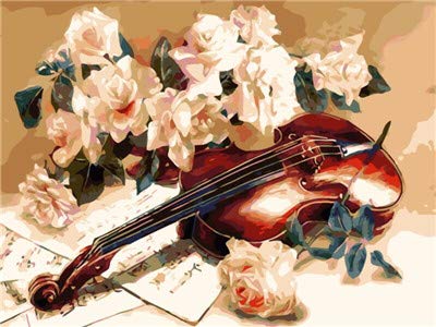 Pintura por Números para Adultos DIY Pintura al óleo sobre Violín y Flor Blanca Lienzo Pintar por Numeros para Adultos Principiantes 40x50cm (Sin Marco)