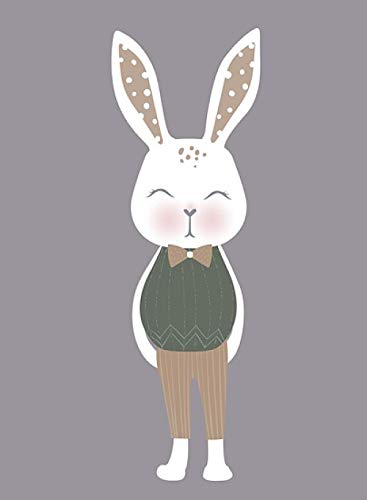 Pintura sobre Lienzo Arte nórdico de Pared Princesa Conejo Impresiones Carteles Kawaii Bunny Imágenes de Pared para niñas Dormitorio Decoración para el hogar 40x60cmX2 Sin Marco