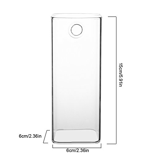 Planta Colgante de Pared Terrario de plantación de Agua Jarrón de Vidrio Jardinera Contenedores Macetas de Flores para la decoración del hogar Decoraciones de Pared(Pattern 5)