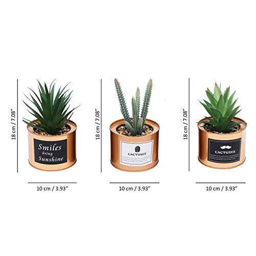 Plantas Artificiales Mini Macetas (Pack de 3) - (10x18 cm) Planta Artificial Decorativa Plástico Verde Cactus Suculenta Maceta Dorada Sala de Estar, Librero, Oficina, Balcón, Decoración Interiores