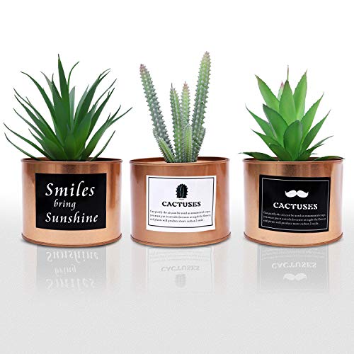 Plantas Artificiales Mini Macetas (Pack de 3) - (10x18 cm) Planta Artificial Decorativa Plástico Verde Cactus Suculenta Maceta Dorada Sala de Estar, Librero, Oficina, Balcón, Decoración Interiores