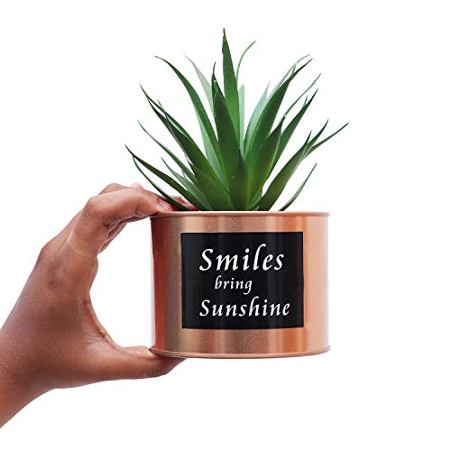 Plantas Artificiales Mini Macetas (Pack de 3) - (10x18 cm) Planta Artificial Decorativa Plástico Verde Cactus Suculenta Maceta Dorada Sala de Estar, Librero, Oficina, Balcón, Decoración Interiores