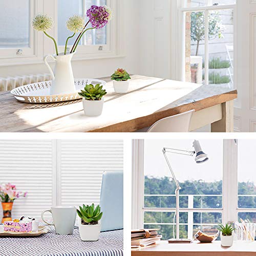 Plantas Suculentas Artificiales 4 Piezas, Plantas Falsas Pequeñas Mini Plantas Suculentas en Macetas, Planta Decorativa de Fuax para el Hogar Casa Mesa Balcón Oficina Interior Decoración Accesorios