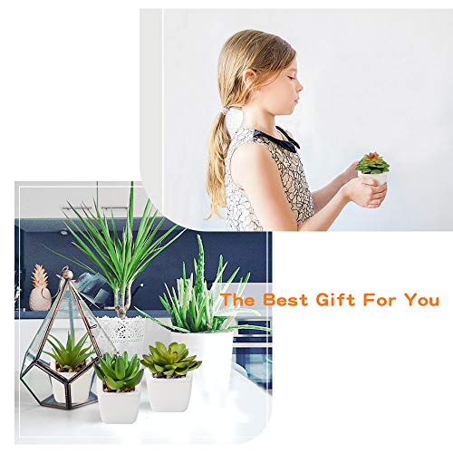 Plantas Suculentas Artificiales 4 Piezas, Plantas Falsas Pequeñas Mini Plantas Suculentas en Macetas, Planta Decorativa de Fuax para el Hogar Casa Mesa Balcón Oficina Interior Decoración Accesorios
